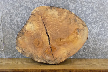 Natural Edge Reclaimed Round Cut Ash DIY Charcuterie Board 7420